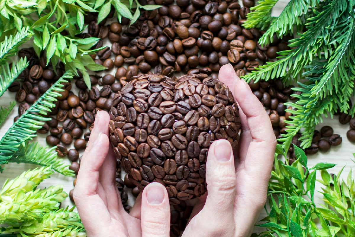 In autunno i giardini prosperano con piante nutrite dai fondi di caffè, facili da usare e ricchi di sostanze nutrienti