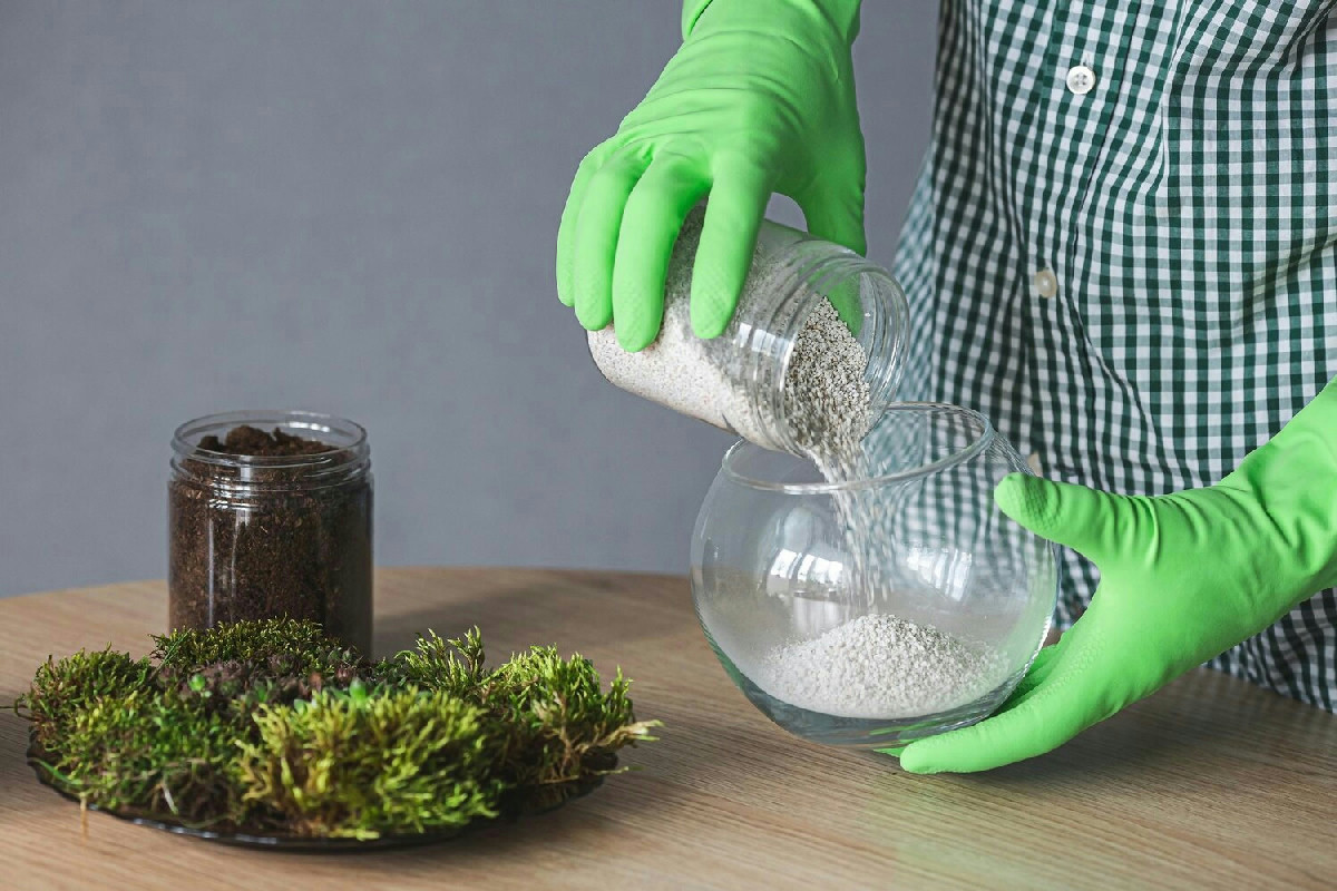 Il bicarbonato per le piante: tre usi naturali per favorire una crescita rigogliosa e sana