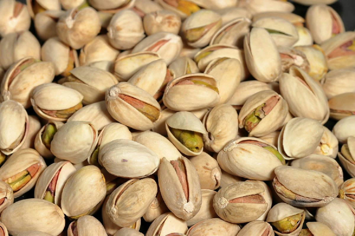 Coltivare il pistacchio: guida completa alle proprietà e alla cura dell’albero da frutto