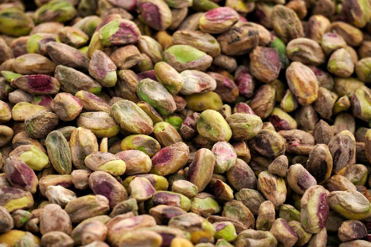 Coltivare il pistacchio: guida completa alle proprietà e alla cura dell’albero da frutto