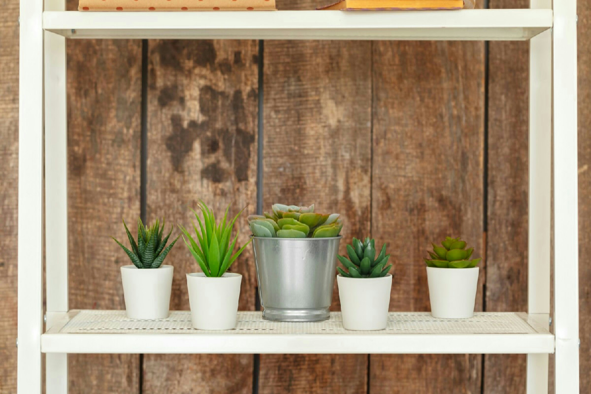 Ottimizzare gli spazi di casa con angoli verdi verticali: soluzioni funzionali e raffinate