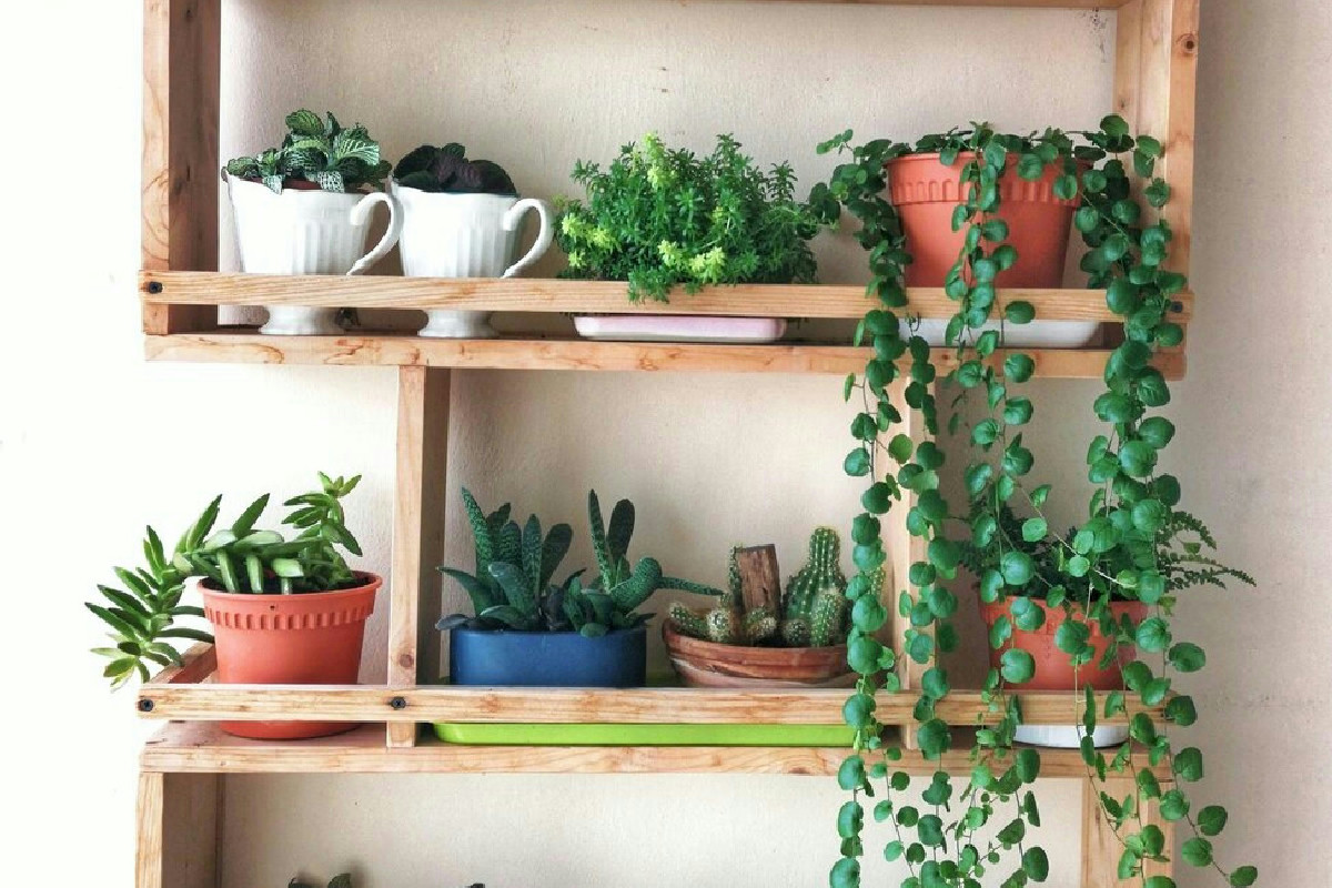 Ottimizzare gli spazi di casa con angoli verdi verticali: soluzioni funzionali e raffinate