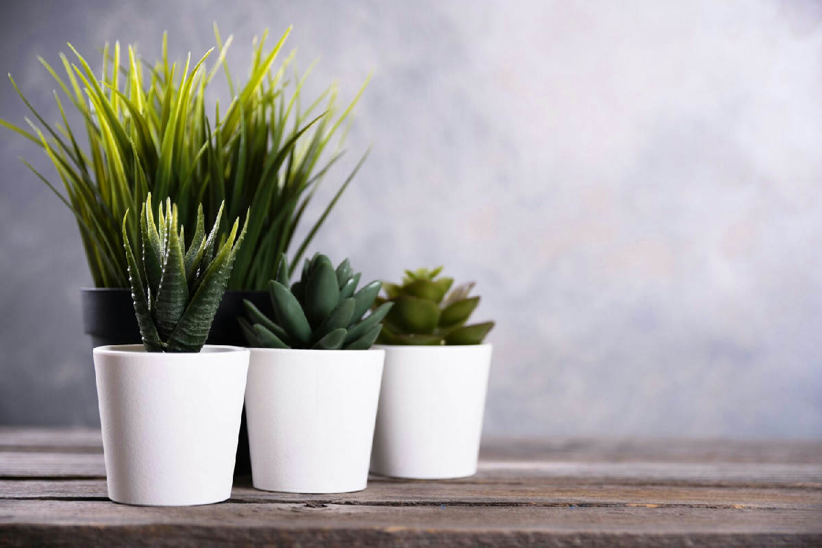 Sistema efficace per mantenere le piante in vaso idratate durante assenze prolungate senza rischi